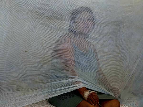 El dengue avanza en Perú en zonas pobres con carencia de agua y ante mayor temperatura por El Niño
