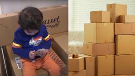 Hijo de 2 años ordena 2 mil dólares en muebles a escondidas de su mamá