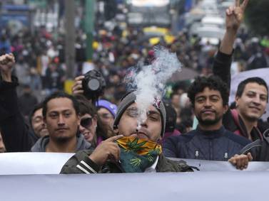 Consumo de marihuana en jóvenes aumentaría si “suavizan” las actuales normas
