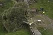 Arrestan a chico de 16 años por derribar un árbol célebre junto al Muro de Adriano en Inglaterra
