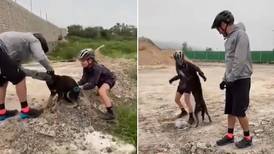 Perro no pudo contener la emoción al ser liberado por ciclistas que lo vieron sufrir