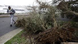 Técnico de una empresa francesa muere al restablecer electricidad tras tormenta 
