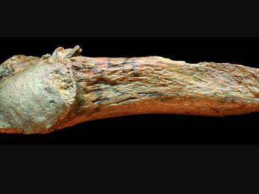 Ciencia.-El arma de hueso más antigua hallada en América tiene 13.900 años