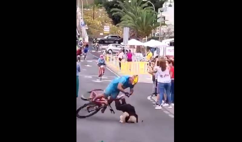 Impactante choque de ciclista a una mujer que se atravesó en pleno esprint