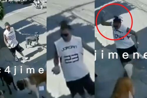 Sin razón: Hombre ataca a perrito con una gran piedra