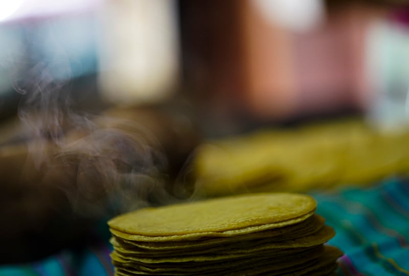 maíz-de-colores-auge-en-el-extranjero-agricultores-mexicanos