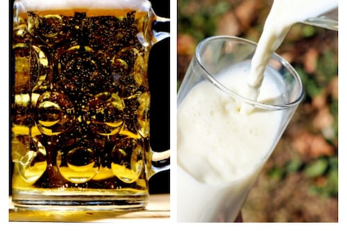 Ingerir cerveza es mas sano que tomar leche, según Harvard