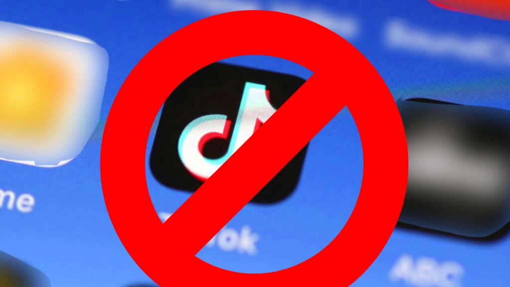 Gobierno prohíbe TikTok por temor a posibles ciberataques
