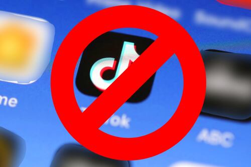 Gobierno prohíbe TikTok por temor a posibles ciberataques