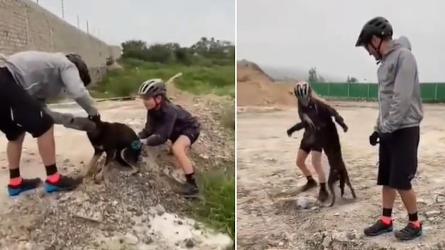 Los ciclistas le liberaron el hocico a un perro que lo tenía atrapado en una botella de plástico