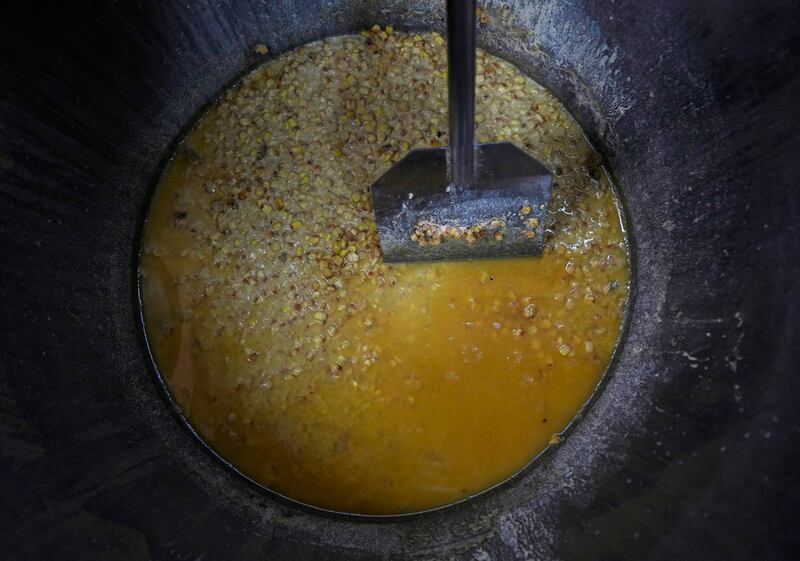 maíz-de-colores-auge-en-el-extranjero-agricultores-mexicanos