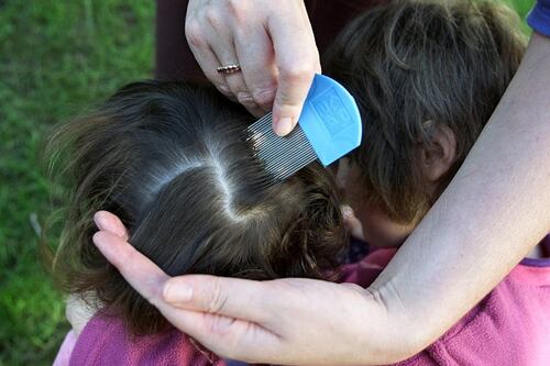 Niña llevaba meses con piojos hasta el cuello: “Encima de sus orejas estaba llena de huevos”