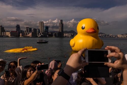 ¡Lo atacó el calor! Se desinfla pato gigante en el puerto de Hong Kong