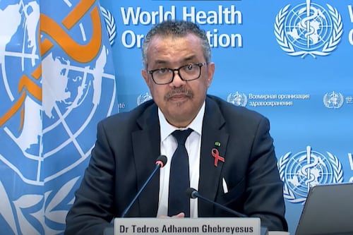 La OMS confirma que la viruela del mono ya es de transmisión comunitaria