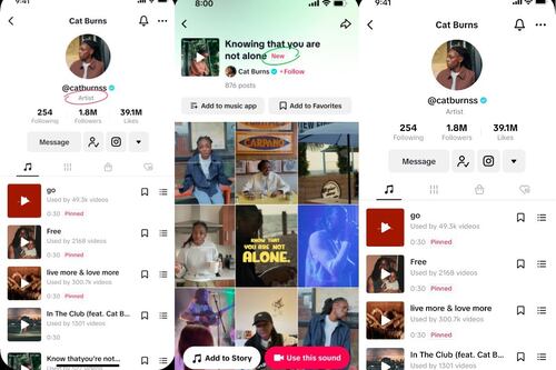 TikTok crea cuentas específicas a los artistas para que promocionen sus contenidos