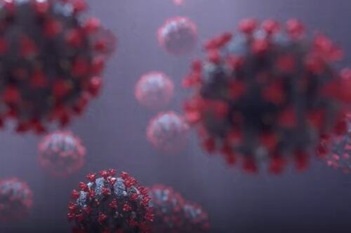 Todo lo que se sabe de Centaurus, la nueva variante de ómicron que preocupa a los científicos