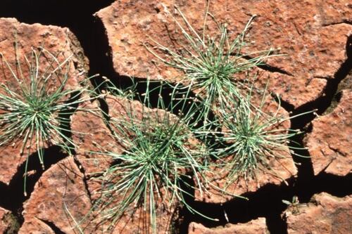 La guerra por el agua en Francia ha comenzado con una sequía excepcional