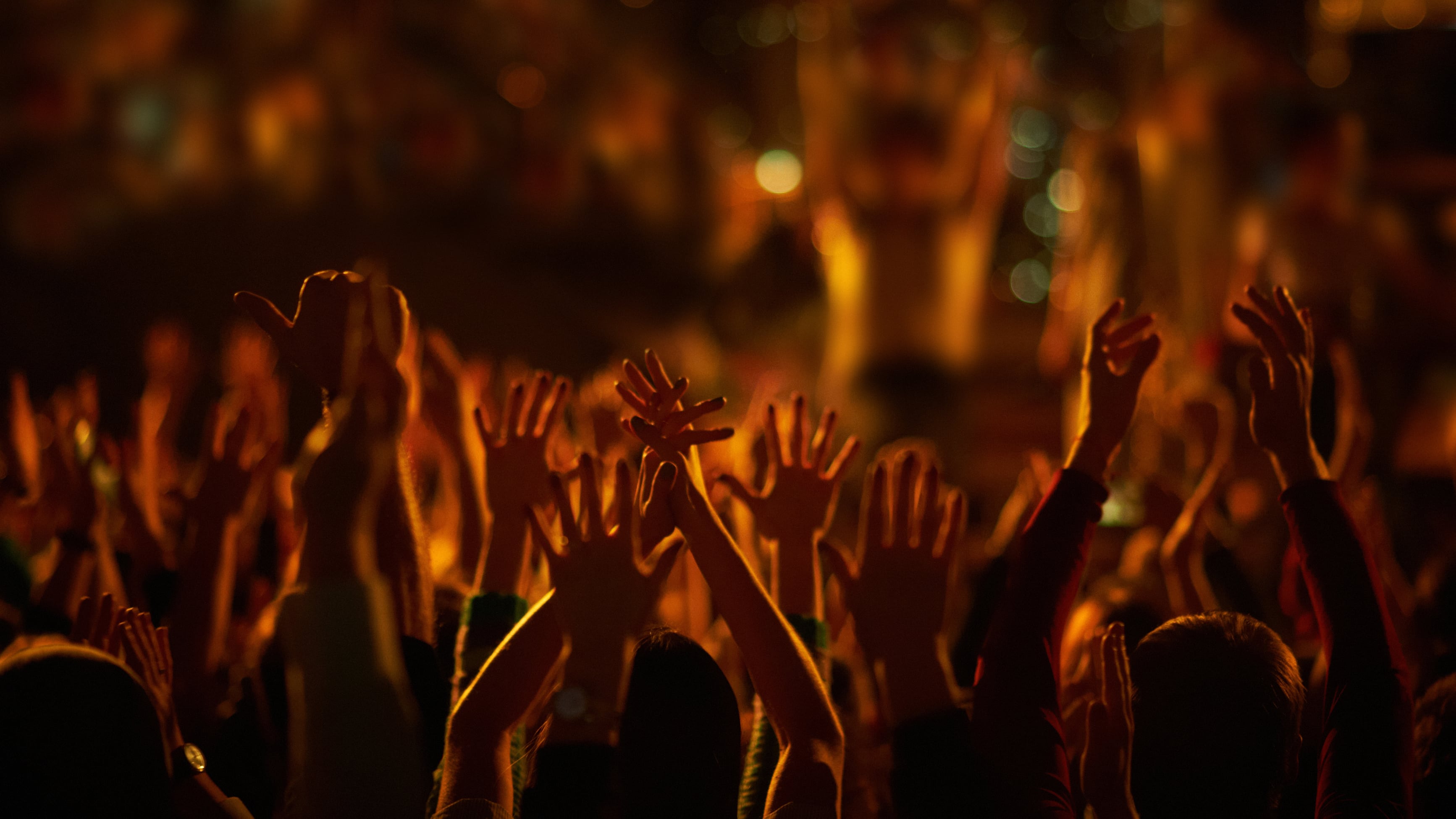 (Crédito: Sergii Sverdielov / Dreamstime)