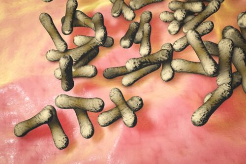 Nigeria confirma brote de difteria y reporta 25 muertos por esta infección