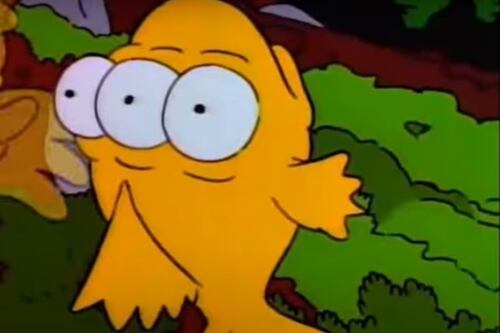 Comparan a pez de tres ojos de Los Simpsons con otro hallado en el río Sinú