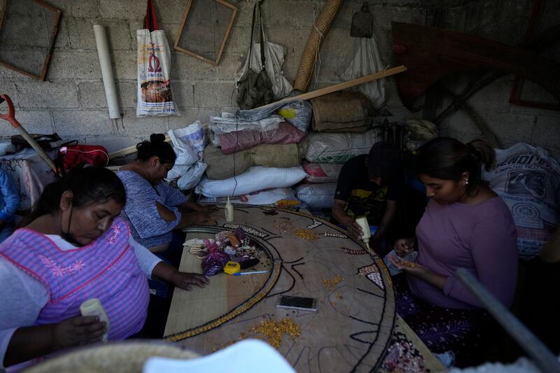 maíz-de-colores-auge-en-el-extranjero-agricultores-mexicanos