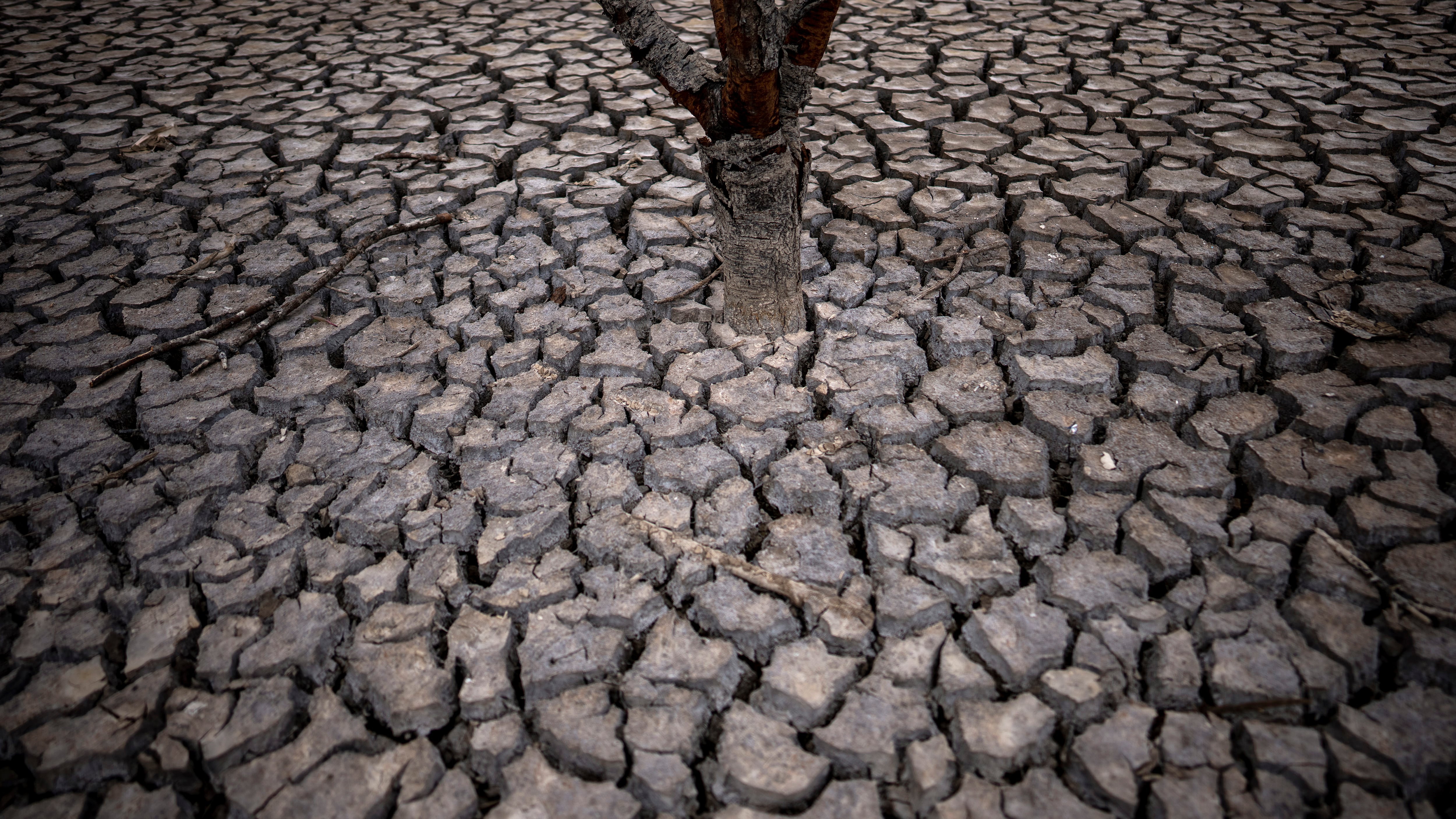 Agua, alimentos y medicina escasean en Jartum, capital de Sudán