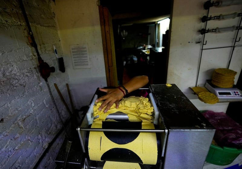 maíz-de-colores-auge-en-el-extranjero-agricultores-mexicanos