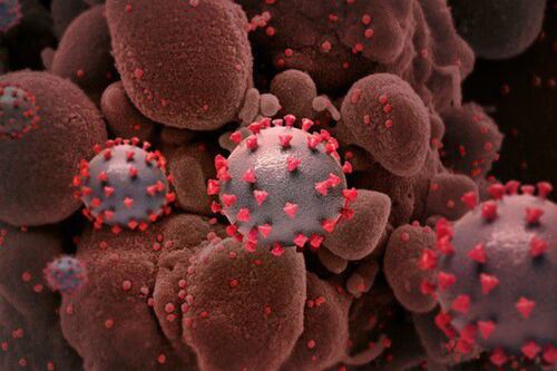 Esto es lo que se sabe sobre “Kraken”, la nueva variante del COVID-19