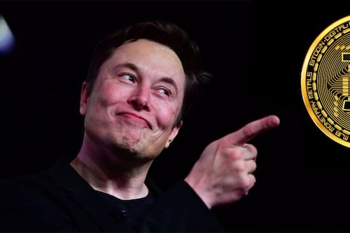 Elon Musk afirma que nunca dijo a la gente que debería invertir en criptomonedas pero su Twitter cuenta otra historia