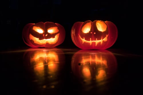 La ciencia detrás de las calabazas de Halloween (y muchas otras calabazas)