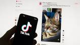UE exige más información sobre nueva app TikTok Lite